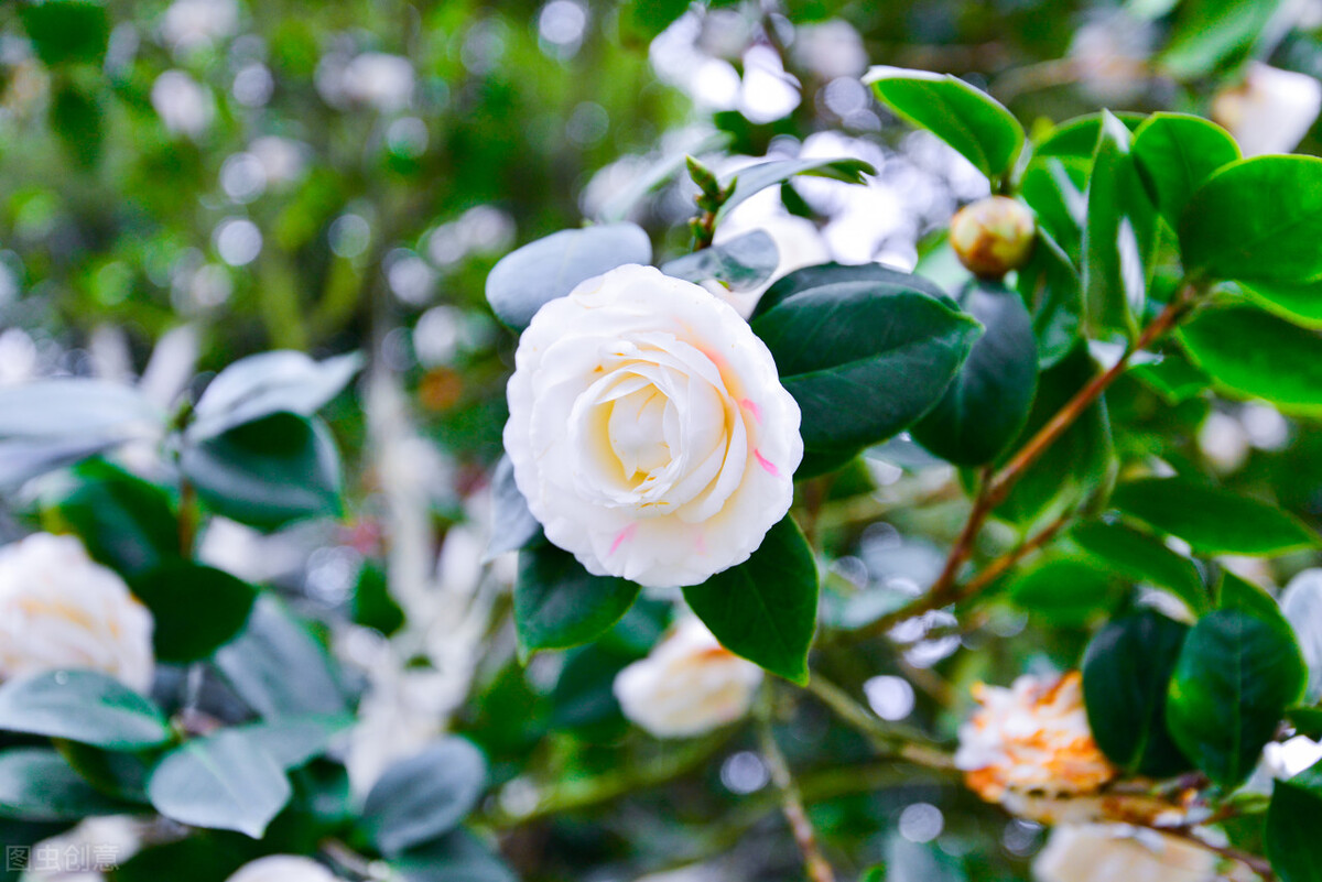 34岁男子相亲59次均失败,31岁男子相亲几十次均失败