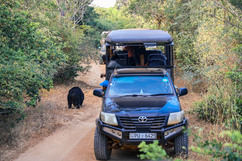 斯里兰卡旅游攻略必去景点,斯里兰卡最佳旅游攻略