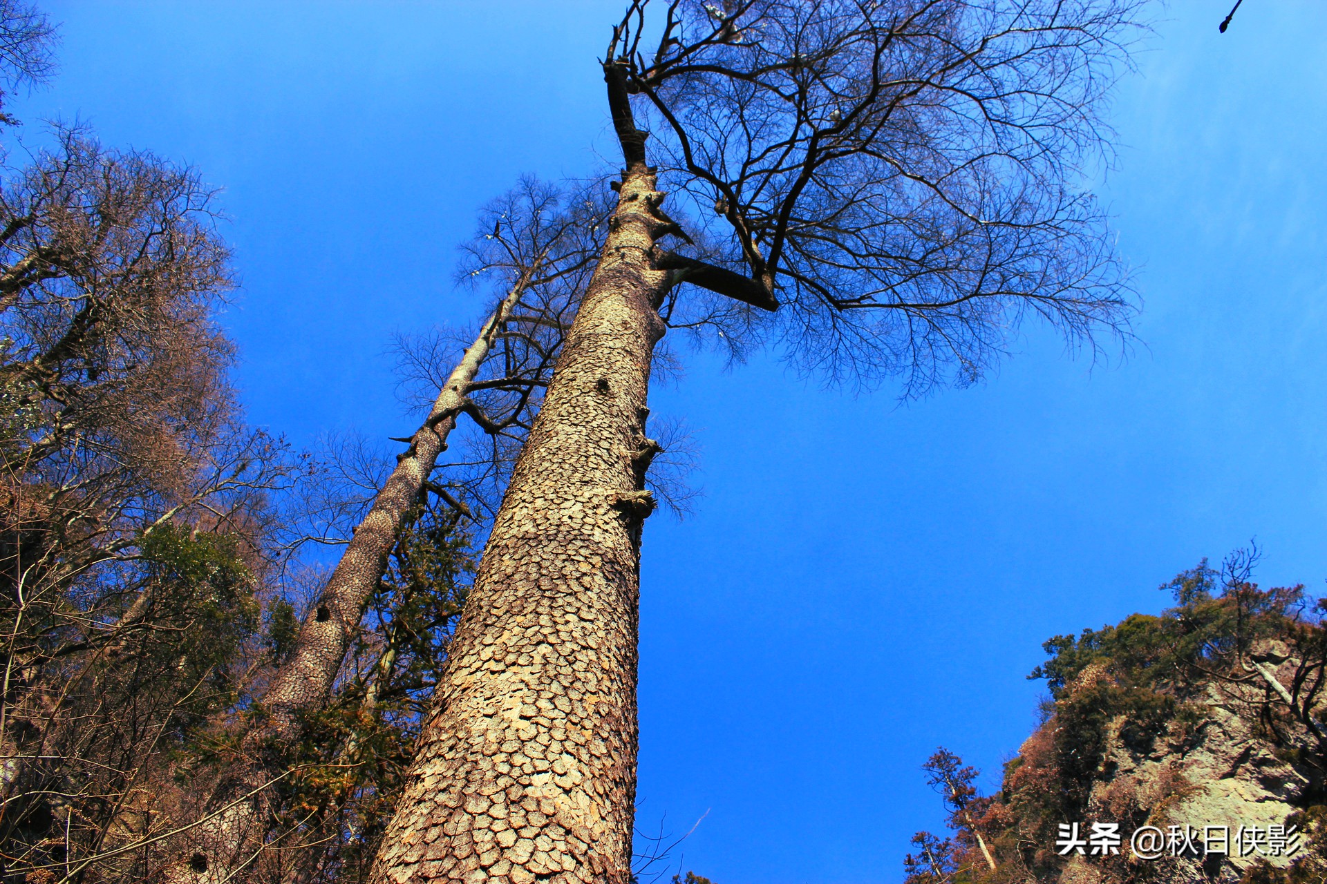 绂绘澀宸炴渶杩戠殑绉洩,鏉窞绉洩