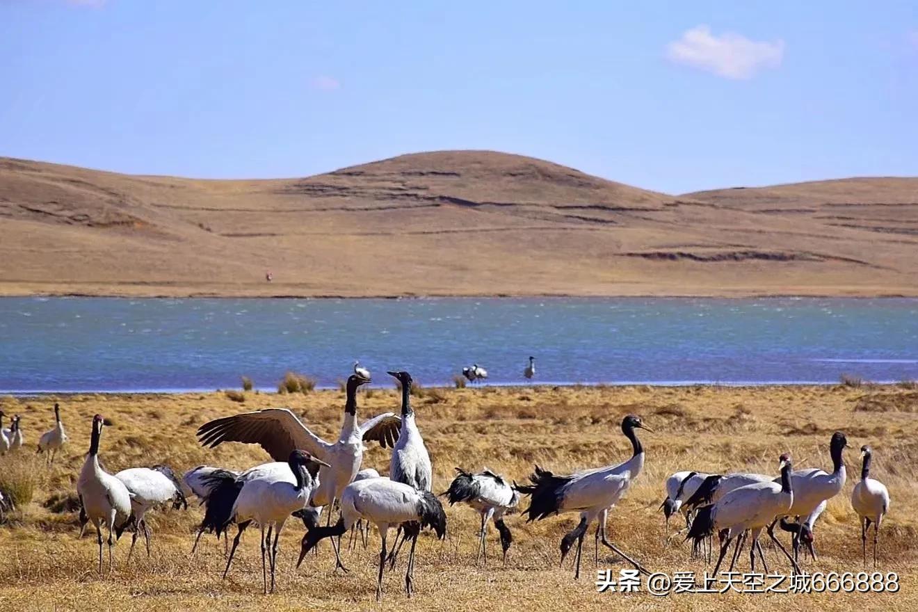 我们在云南全集,云南昭通大山包旅游攻略