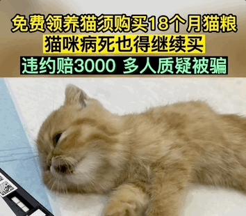 免费领养一只品种猫，猫死后强行要我买猫粮，赔3000