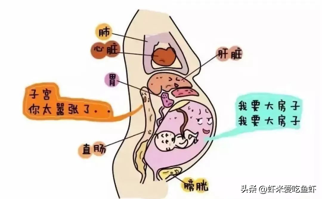 孕期拉不出尿怎么办,孕期肚子胀拉不出