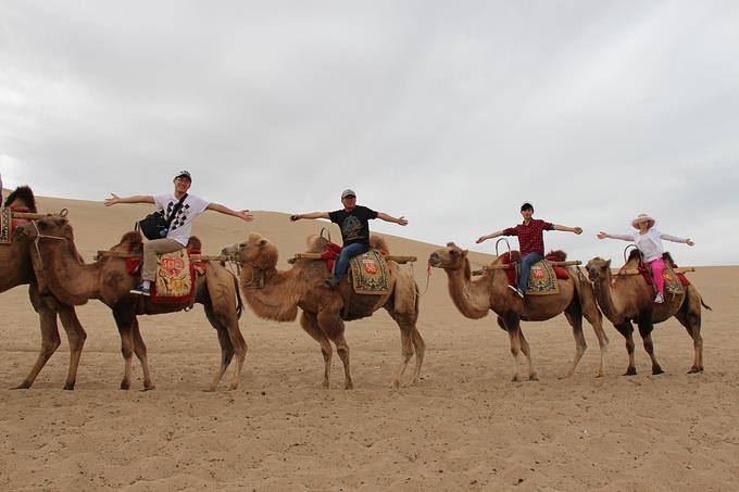 乌兰布和沙海湖半天游,乌兰布和沙海湖旅游区门票