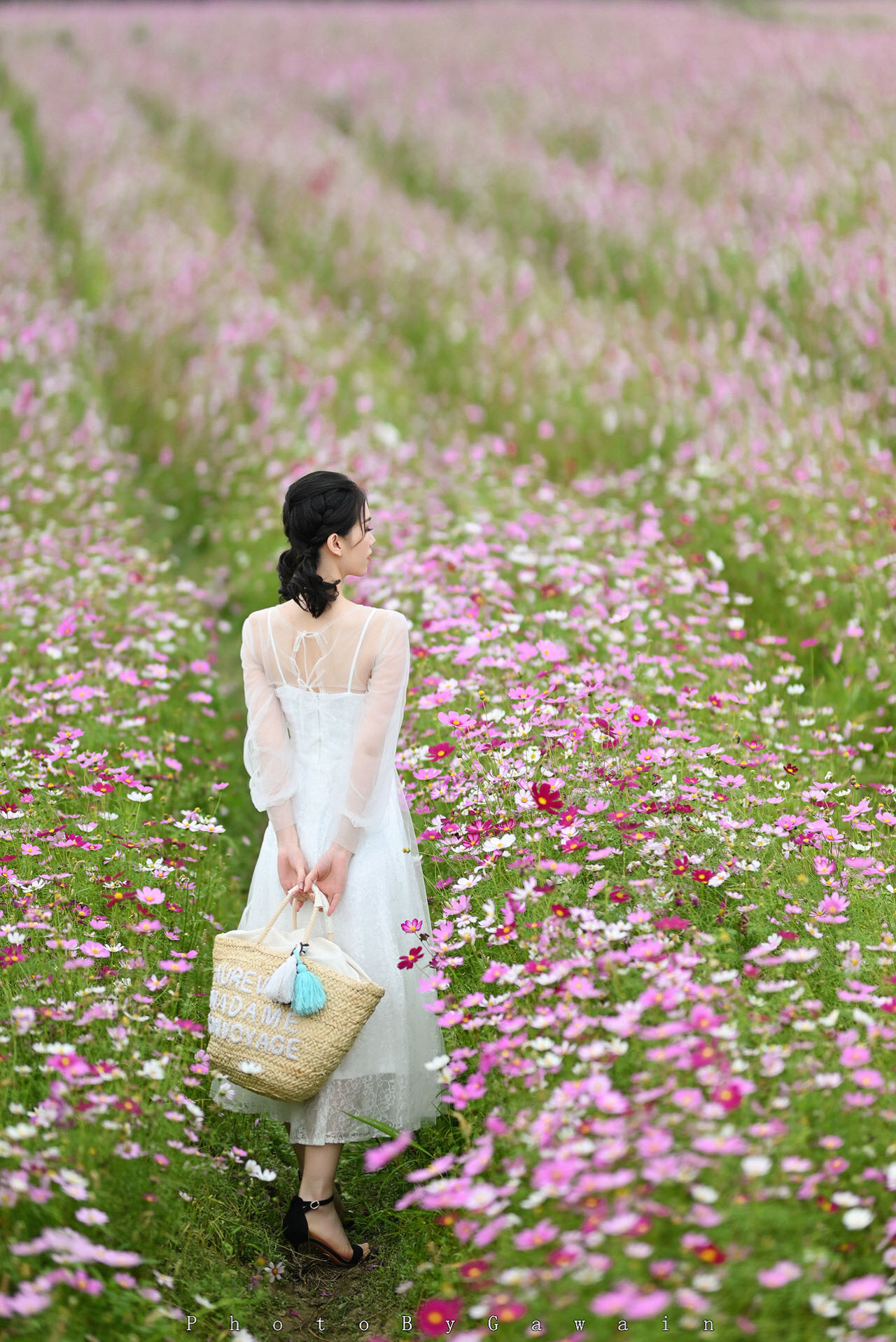 在家拍好看照片学这10个摄影技巧,摄影入门美照原来这么拍