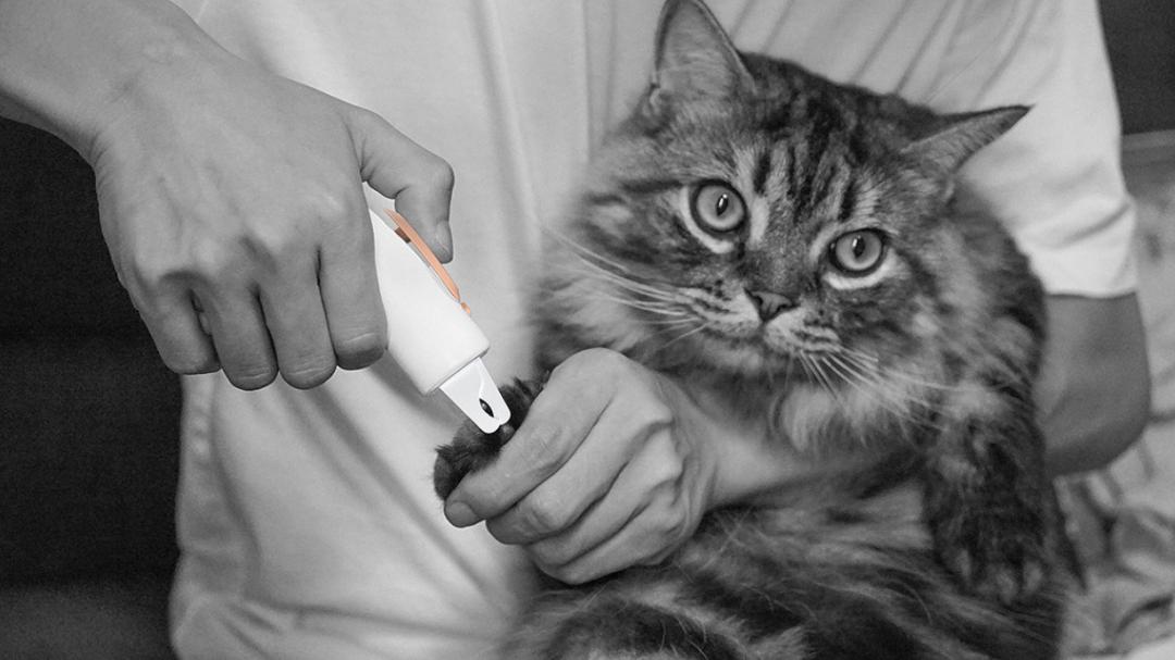 3d打印设备都有哪些,3d打印能打印什么产品