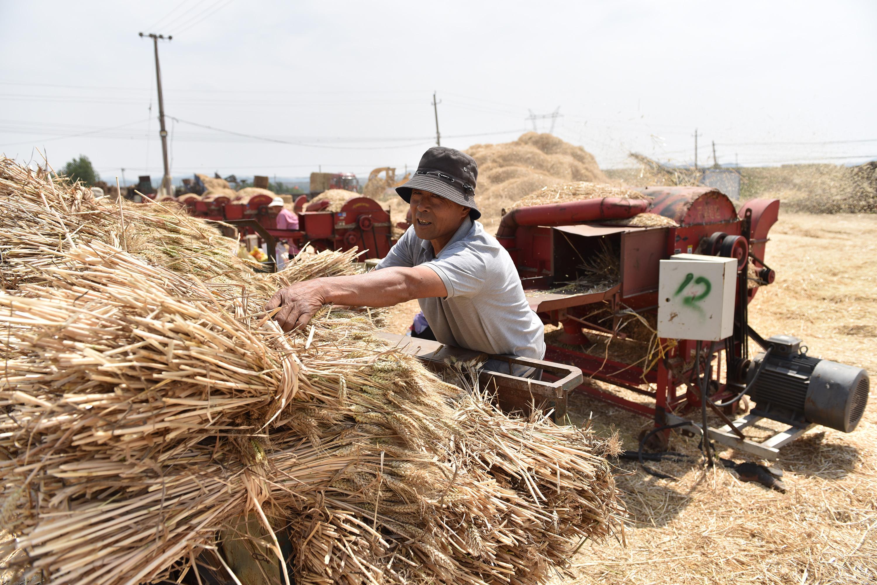 秸秆禁烧被通报的说明,禁烧秸秆的真正原因终于找到了