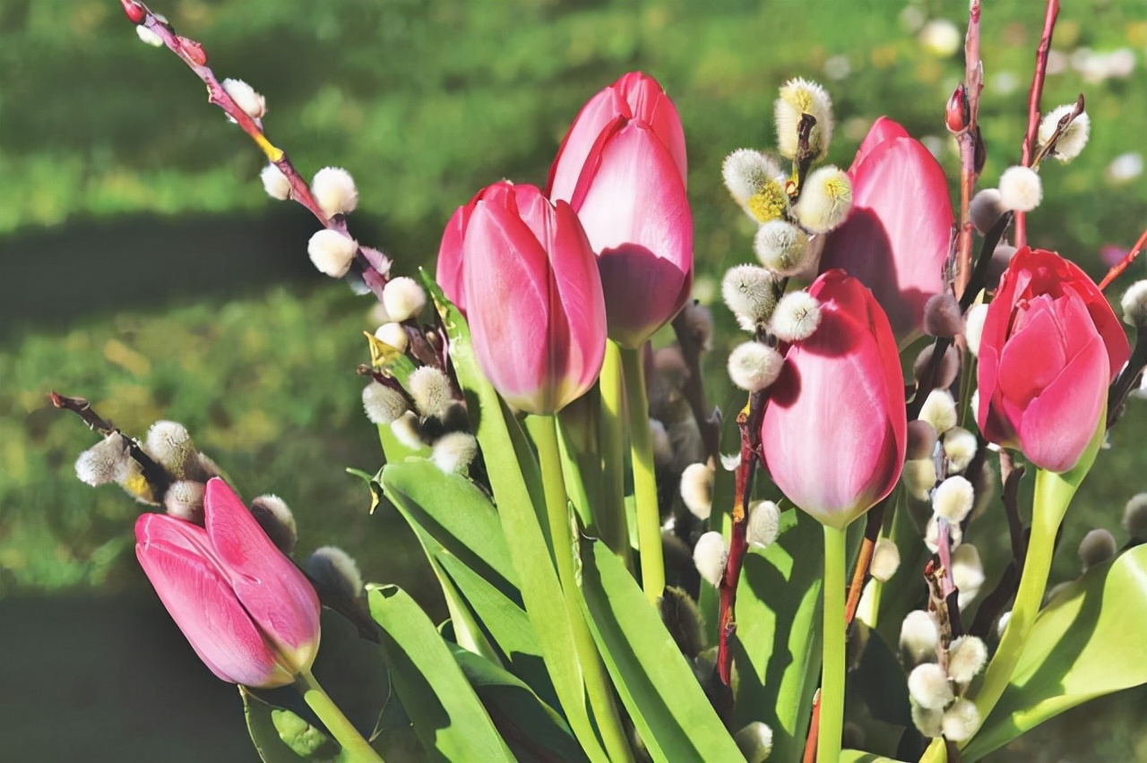 面善心黑的人不值得去深交,经常把三句话挂在嘴上的人