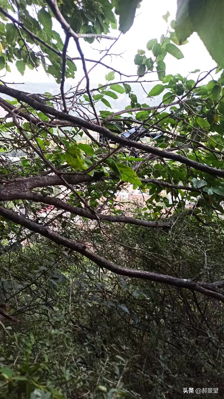 无人机第一次飞就丢了,无人机飞丢了随心换又捡回来了