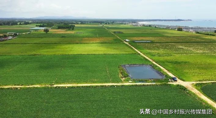 2023乡村振兴申报项目及补贴,振兴乡村国家有哪些资金扶持项目