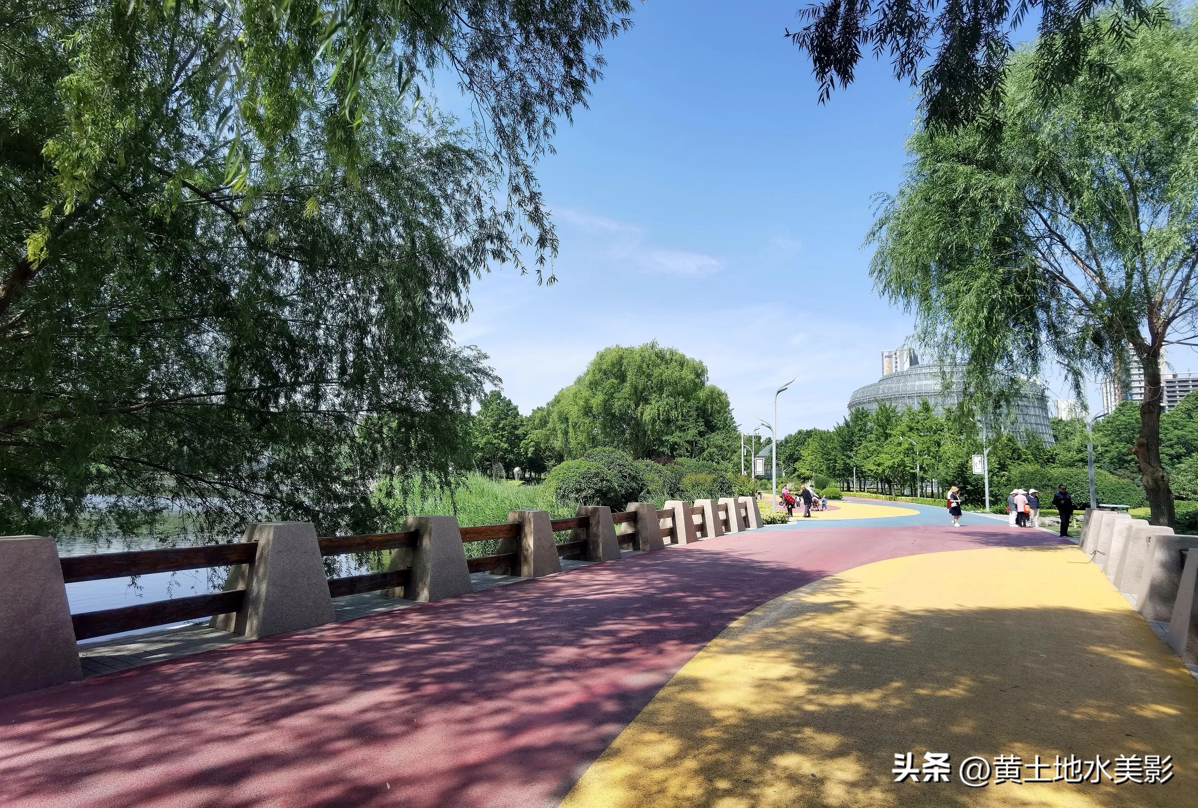 河南植物公园景点介绍视频,河南森林公园有哪些