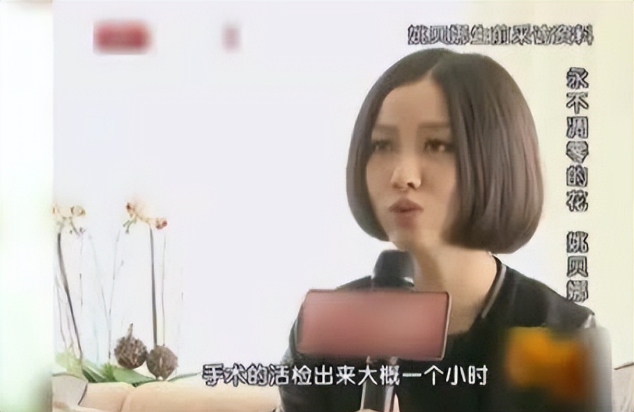 姚贝娜春晚现场,姚贝娜有哪三次上春晚