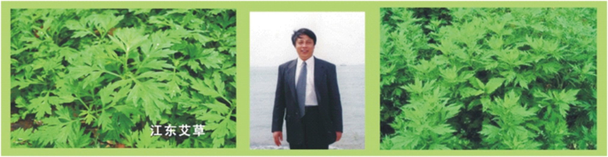 向朋友推荐一首诗,诗词经典对句