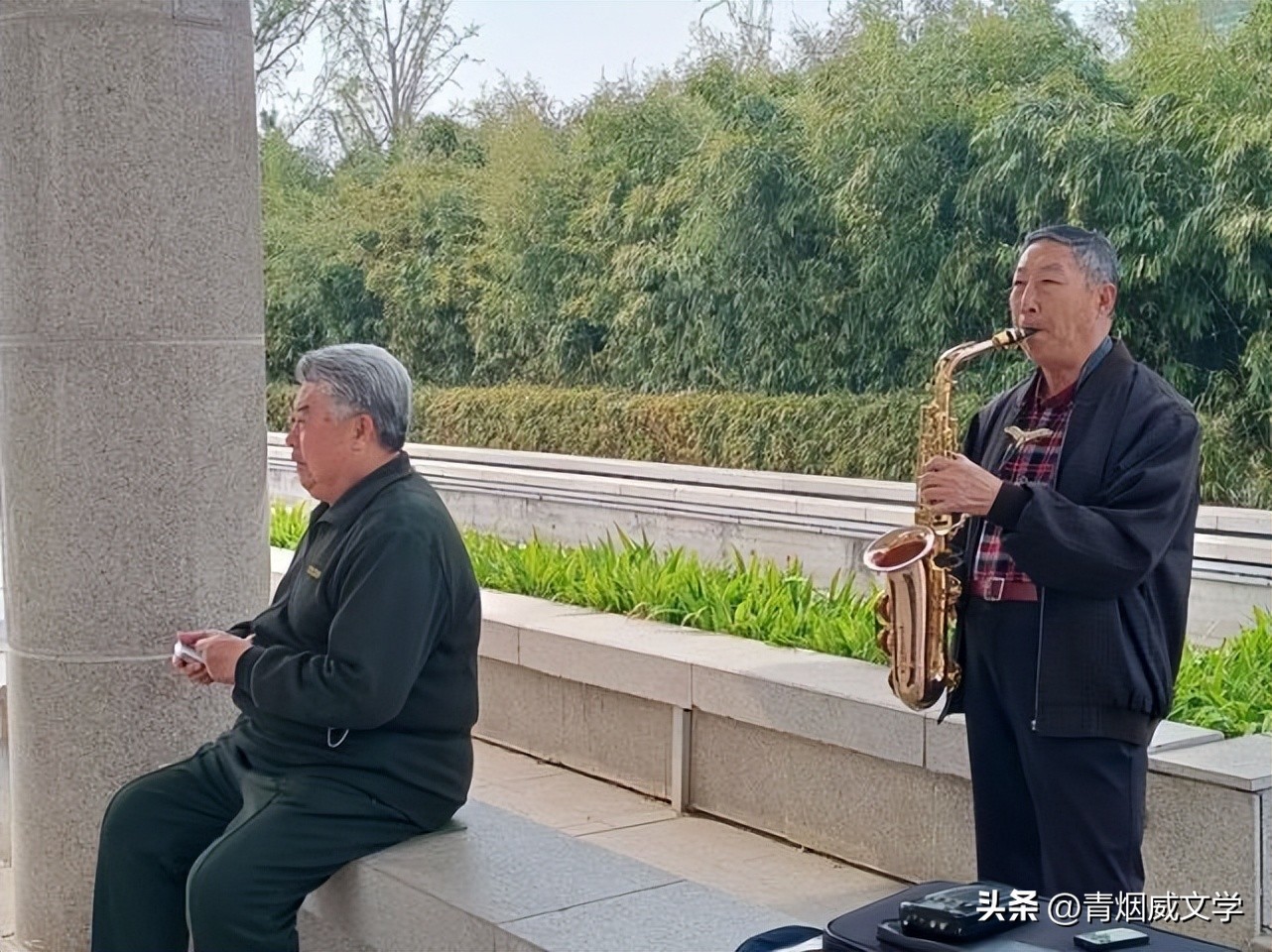 暮年感怀七律10首,七律32首精选夏夜