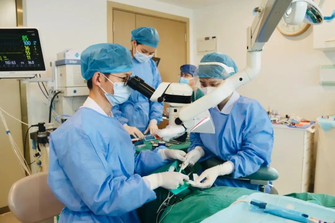 妈妈给孩子在家补牙,妈妈给补牙