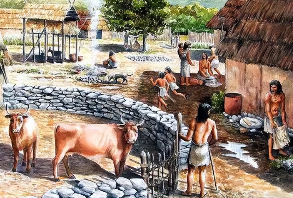 打破红酒玄学，用国人易懂的方式聊红酒篇一起源