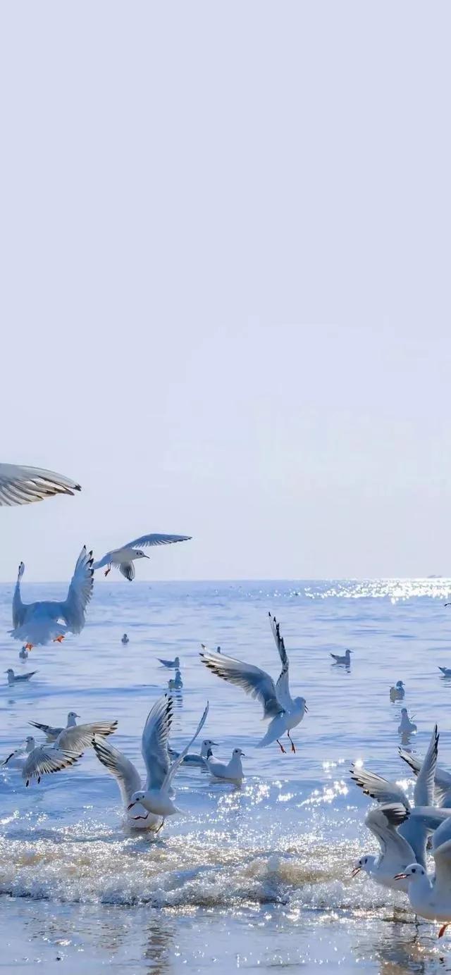 美丽的碧海蓝天壁纸,2018蓝色大海夏天壁纸