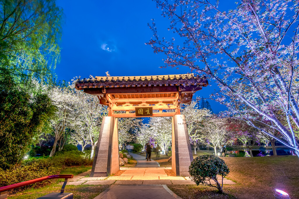 去南京玩一日游推荐,南京景点排行榜前十名一日游