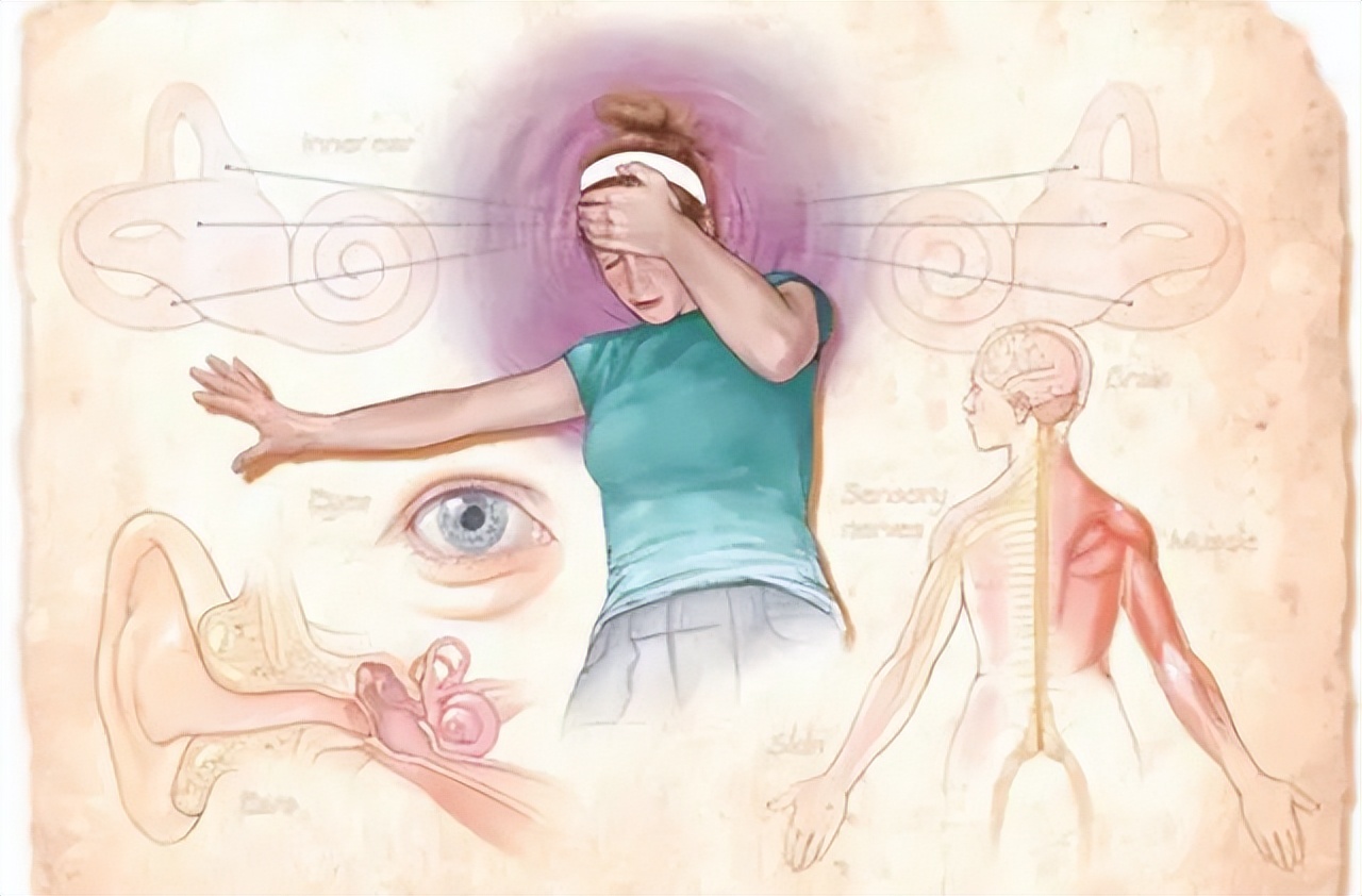 头晕目眩是耳石引起的吗,经常眩晕和耳朵有关系