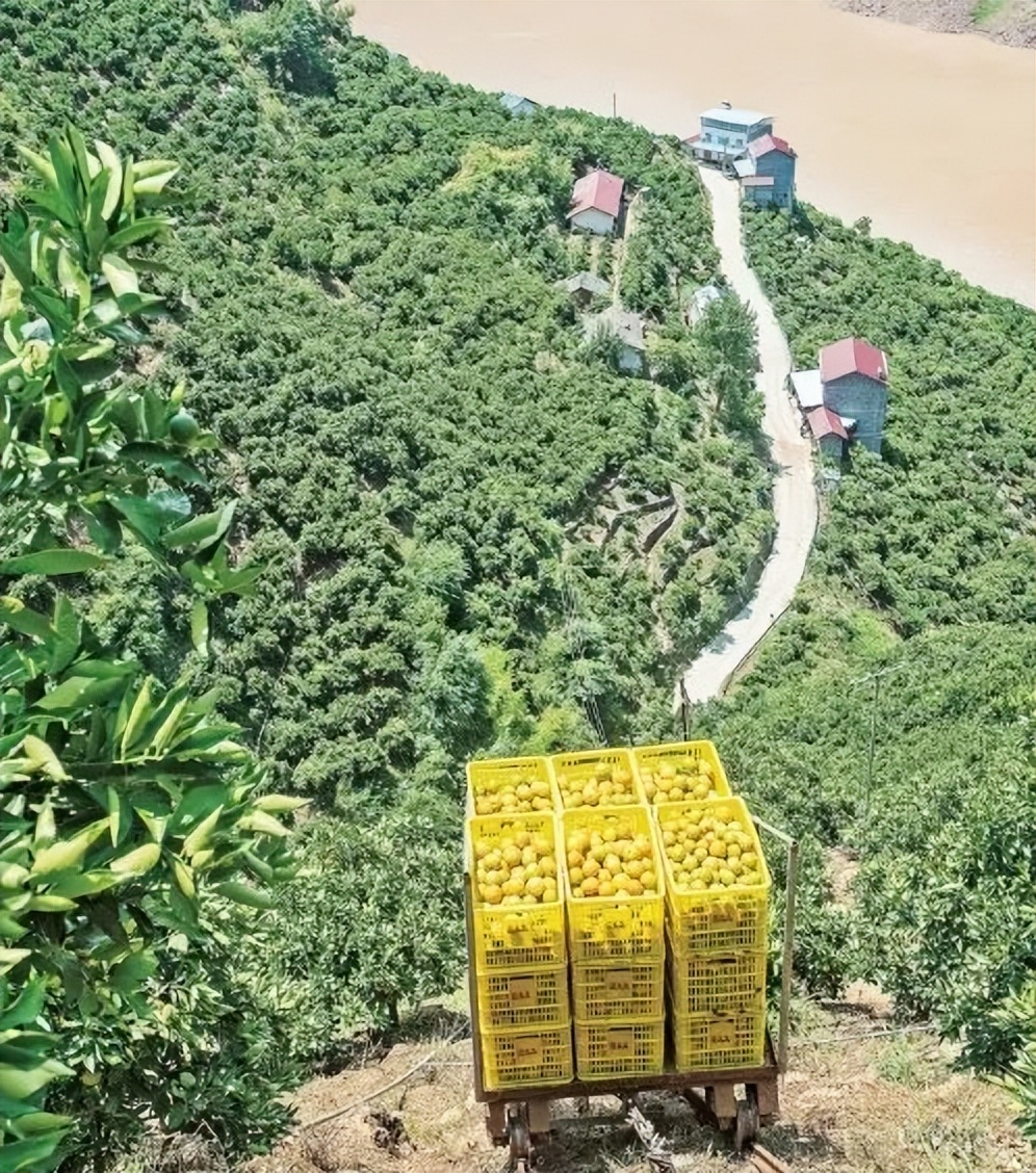 丘陵地区如何实现农业机械化,丘陵地带农机