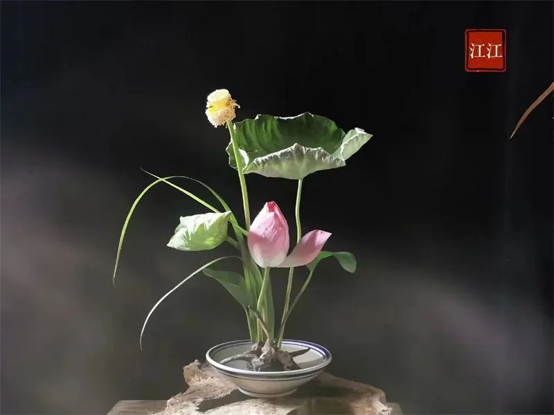 日本顶级禅意插花荷花,日式荷花插花