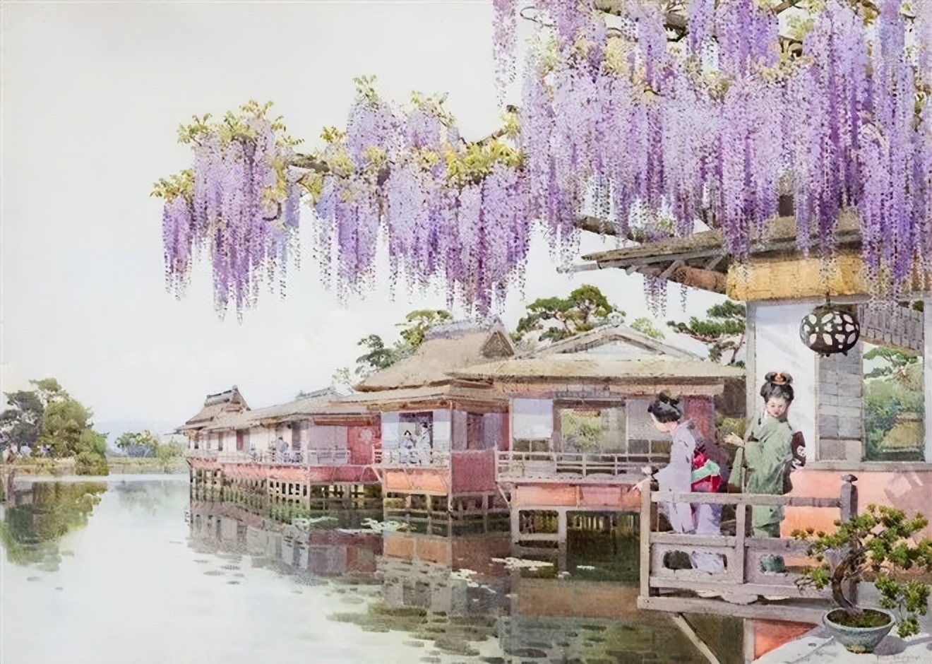 鑻卞浗鐢诲michael楂樻竻鍥剧墖浣滃搧,鑻卞浗姘村僵鐢诲elladucane缁樼敾浣滃搧