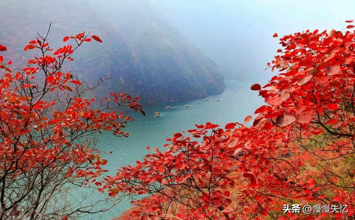 杜甫最经典的15首诗,杜甫的诗最经典的十首