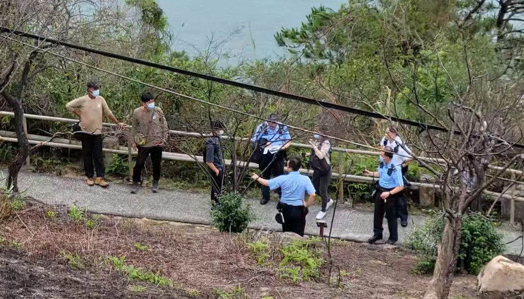 野蜂蜇人谁承担责任,野蜂蜇人的新闻