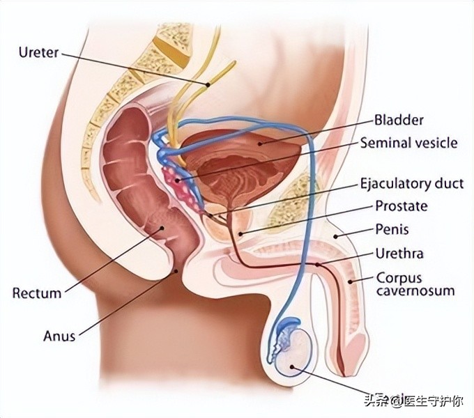 尿路感染尿量变多是怎么回事 (感染后尿量减少的原因)