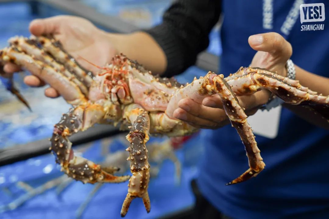 浦东盒马x会员店跨境店,上海第二家盒马x会员店