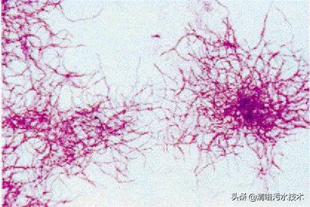 污水池降温措施,污水生化池怎么降温的