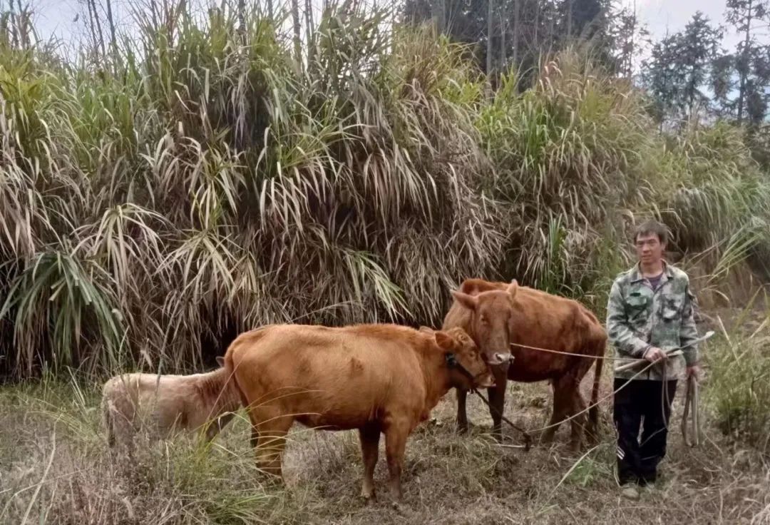 小额信贷，“贷”出山区农户新生活