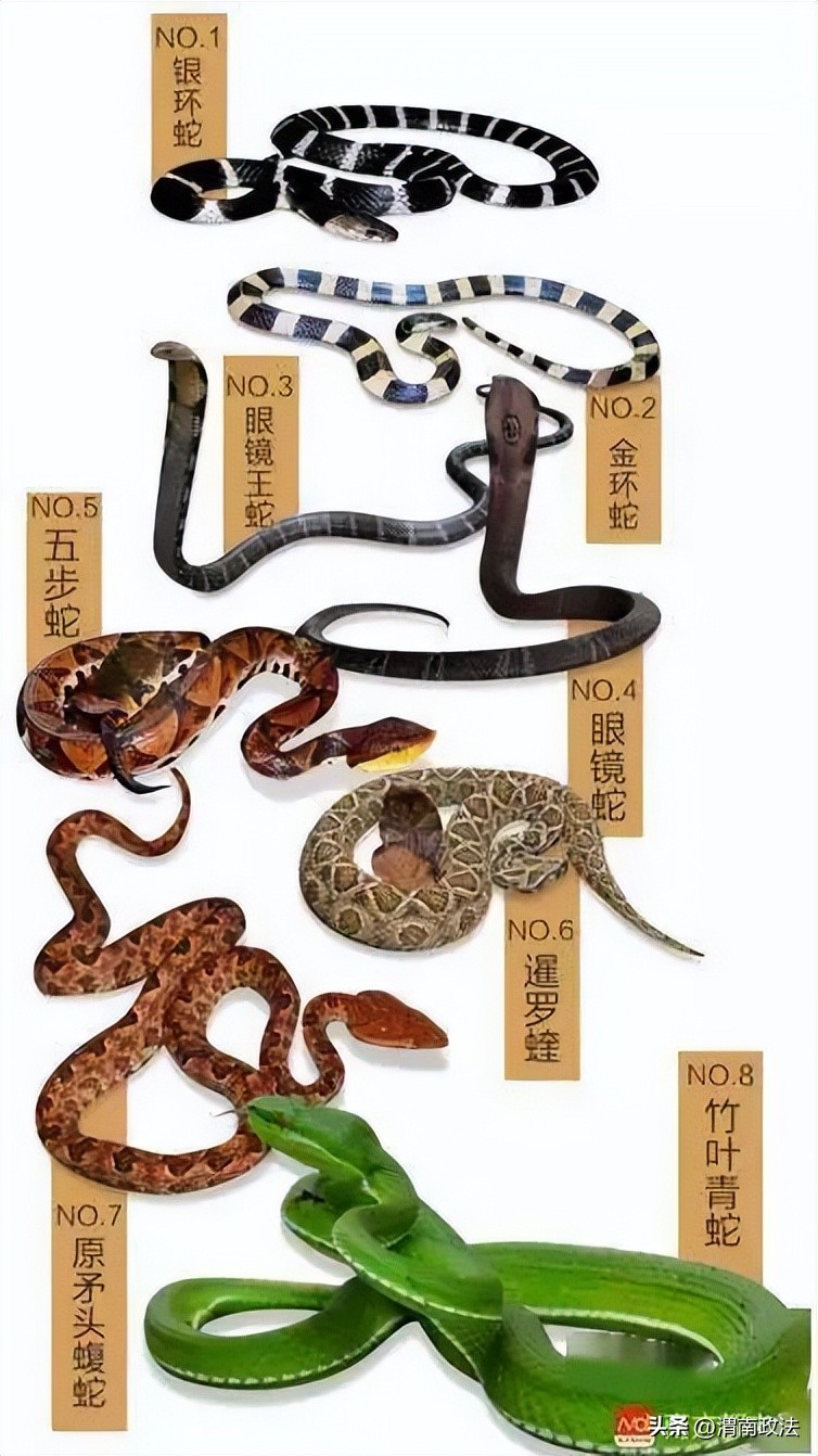 洛阳市幼儿园一键报警,警惕一幼儿园50多名学生感染