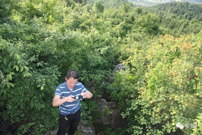 鐭虫湪灞卞,鐭虫湪瀵ㄥソ椋庡厜