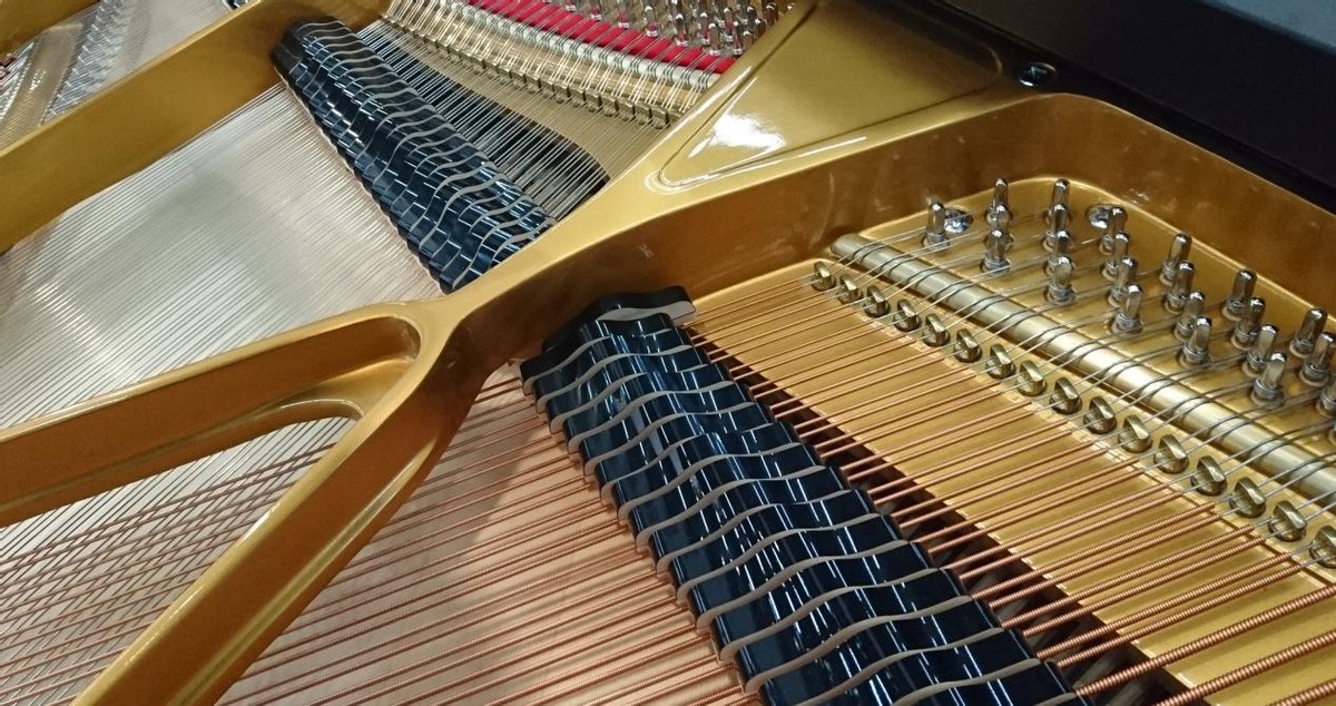 电钢琴不适合孩子练琴,学琴入门专用电钢琴好吗