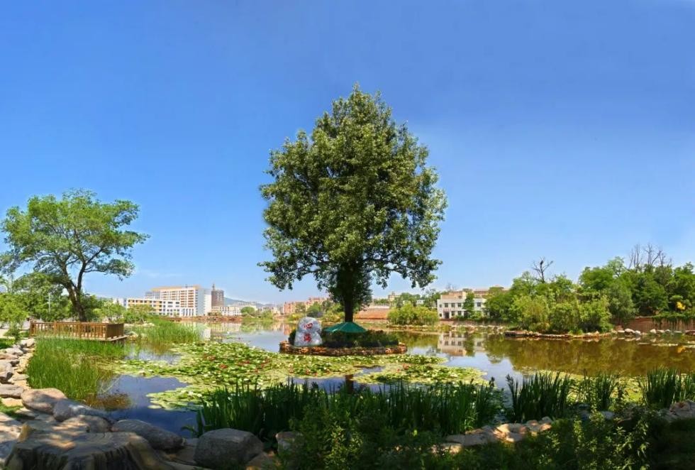 国际互认！大连海事大学2个专业进入全球工程教育“第一方阵”！