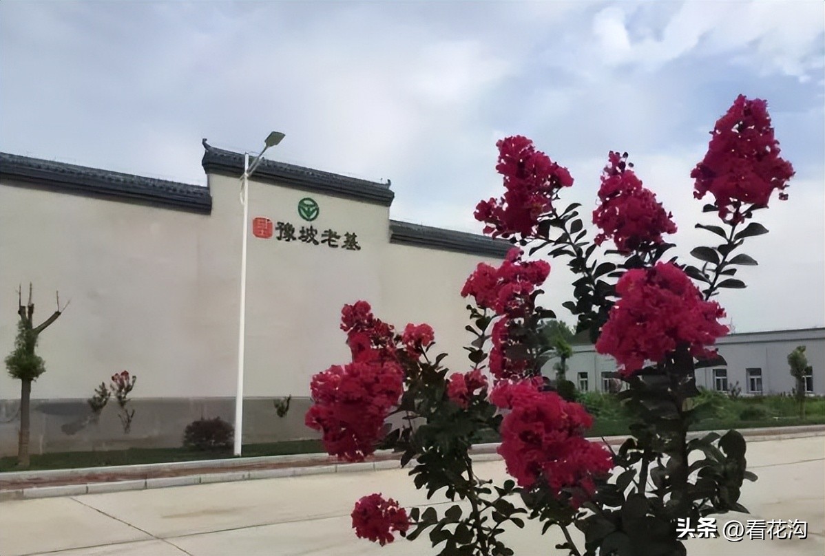 西平县107现在建的啥,1986河南驻马店西平