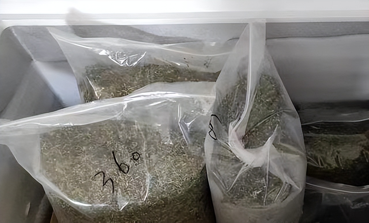 茶叶保存如何防异味,茶叶保存注意事项及禁忌