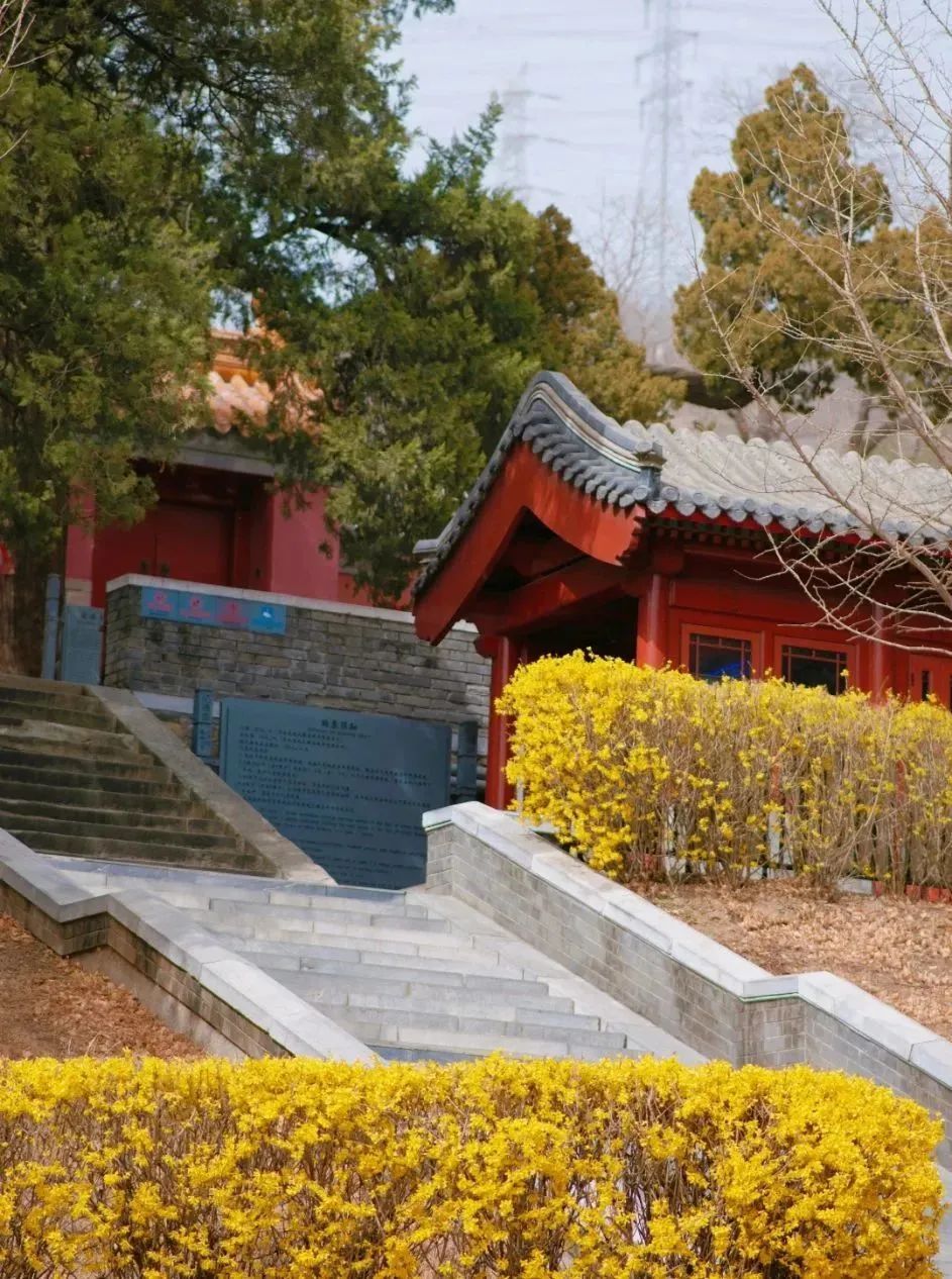 石景山首钢园骑行,春天石景山赏花