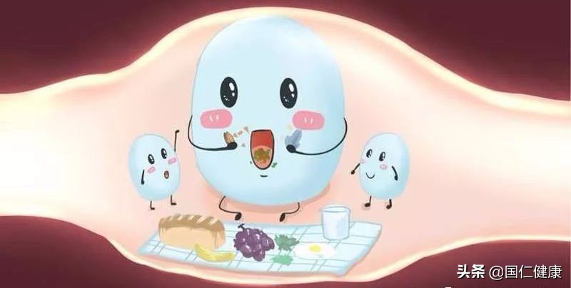 益生菌是治标不治本吗,益生菌治标不治本吗