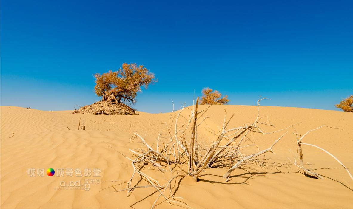 女司机带娃去新疆自驾游,带着女司机自驾游兰州