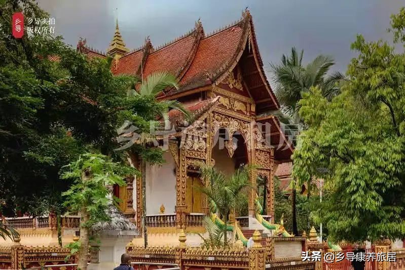 西双版纳康养过冬,康养过冬西双版纳