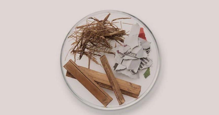 我变大了！也变强了！—SONYZX700系列强叔简评