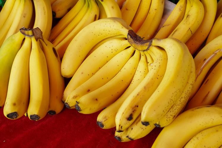 河南大爷卖菜21元罚款11万,河南老人卖菜21元被罚11万