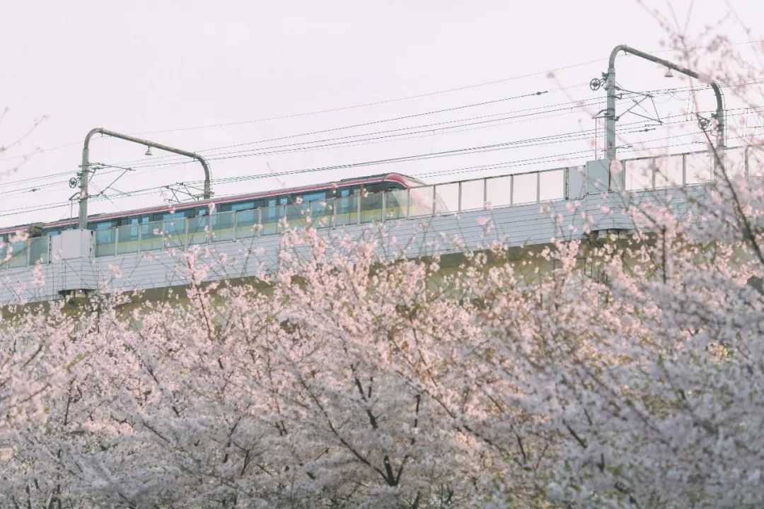 虹口体育场馆膜结构厂商,虹口体育场最新消息