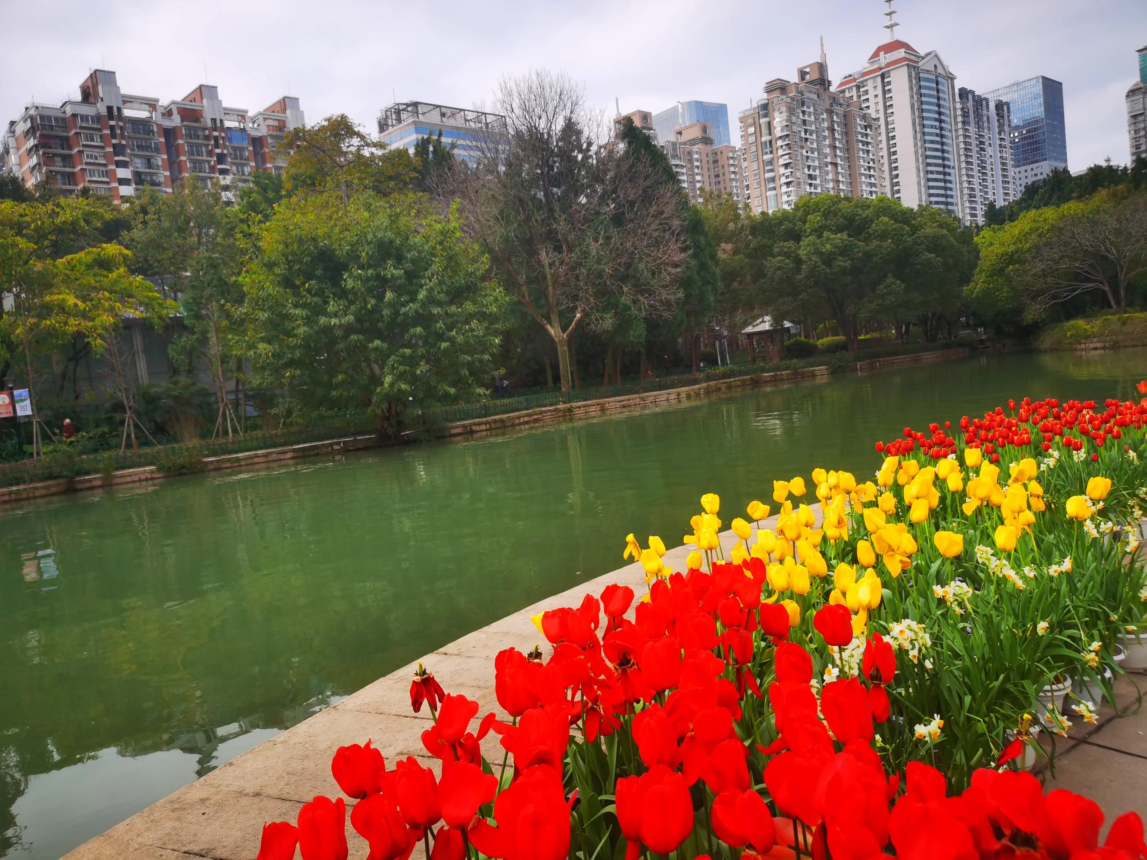 漫步在温泉河湿地公园,漫步福州静谧与繁华