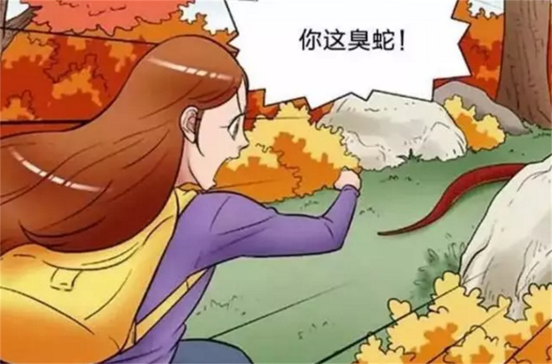 蛇冬眠为什么不被饿死,蛇冬眠为什么要杀死