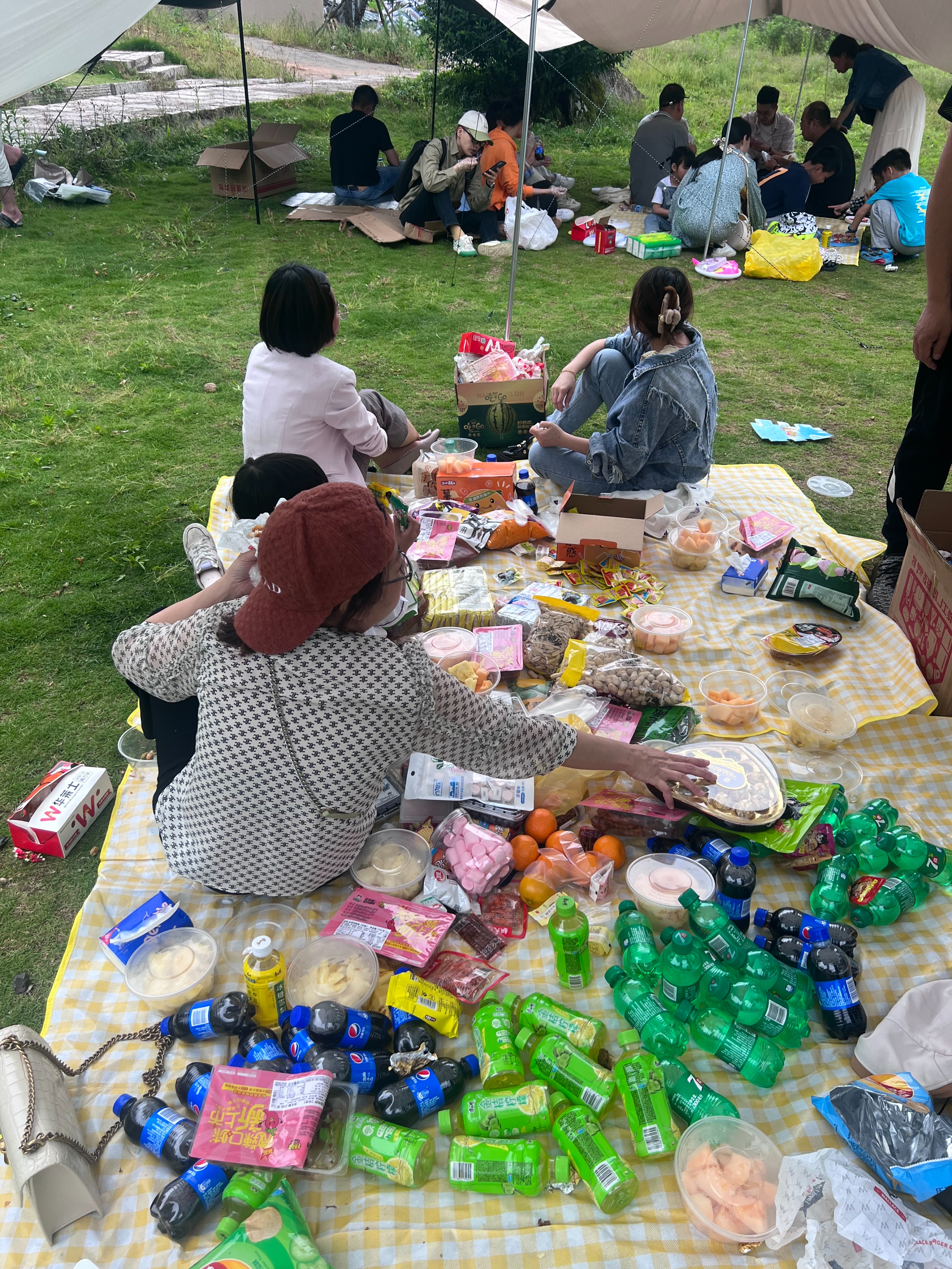 力捷迅企业内刊第03期|踏梦前行药企人，职场新人聊初心