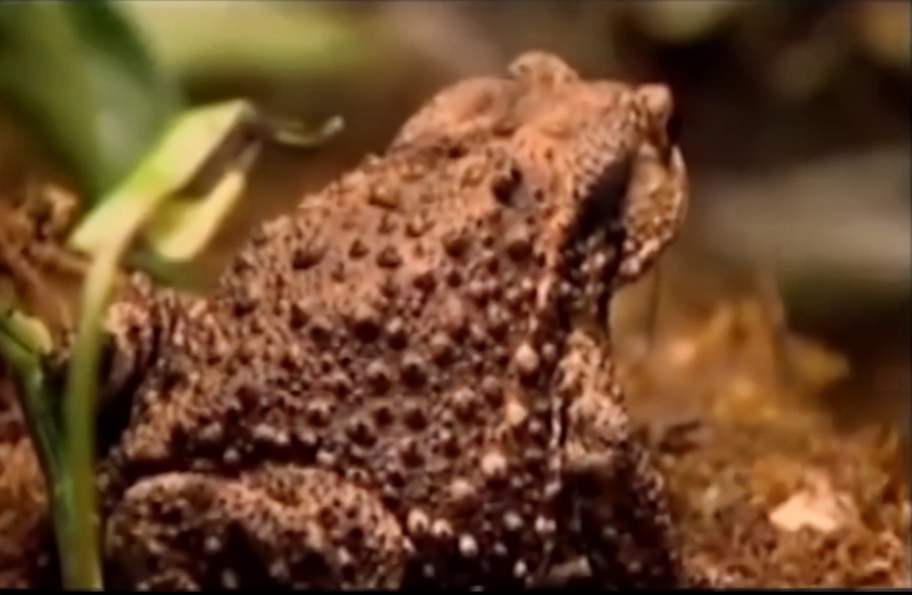 海南4岁女孩腹痛,海南女孩晕倒