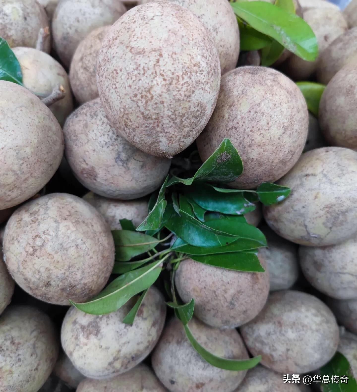 海南的蔬菜水果为什么贵,海南省哪个市的水果最便宜