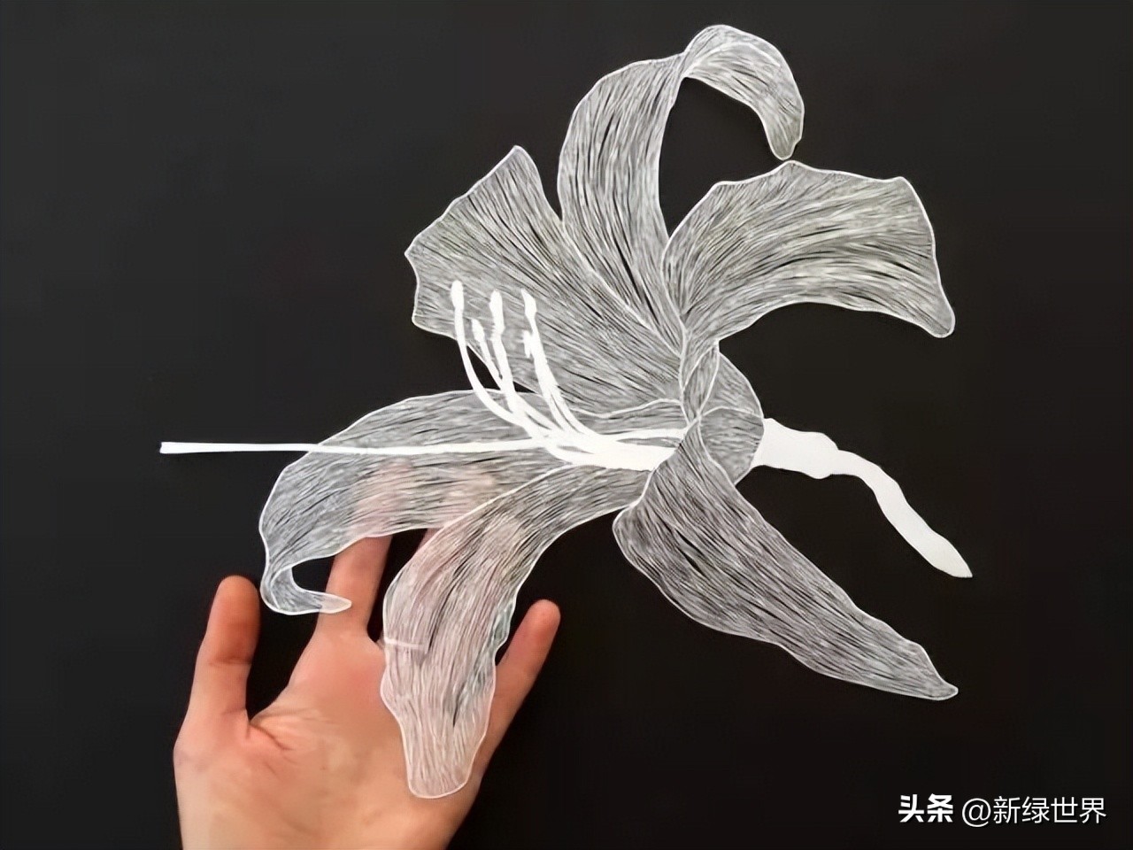 纸艺作品绘画,千变万化的纸艺术作品